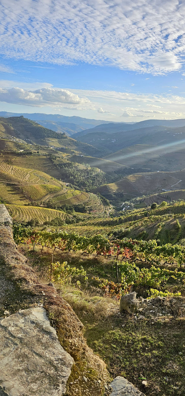 The stunning Douro Valley