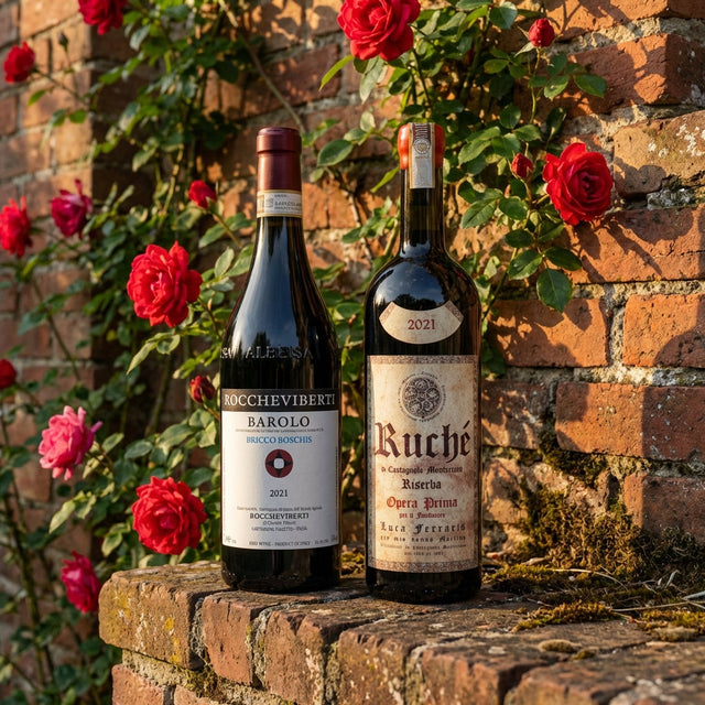 Piedmont Club - March 2026