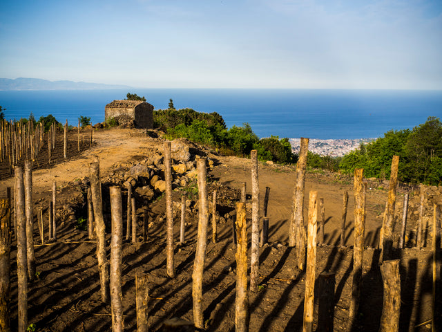 The eastern slopes of Mount Etna