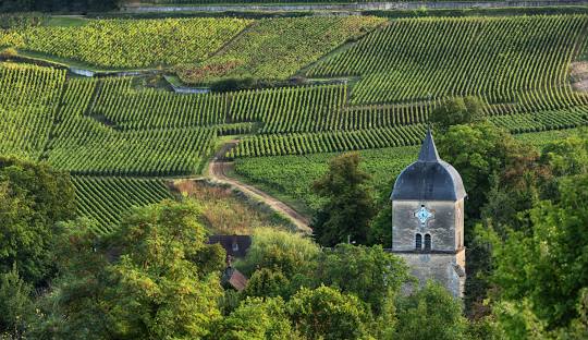 Burgundy Club - December 2024