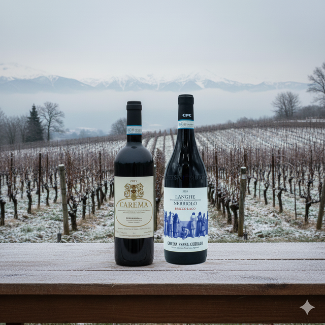 Piedmont Club - November 2025