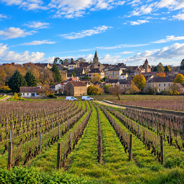 Burgundy Clubs: October 2026