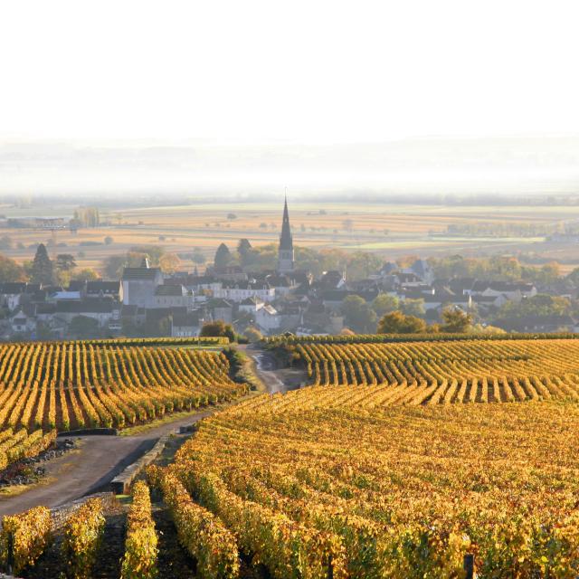 Burgundy Club: October 2025