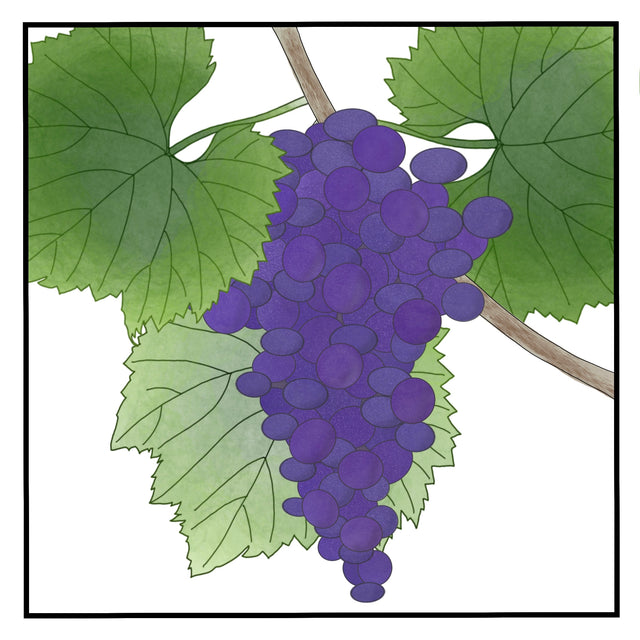 Nerello Mascalese