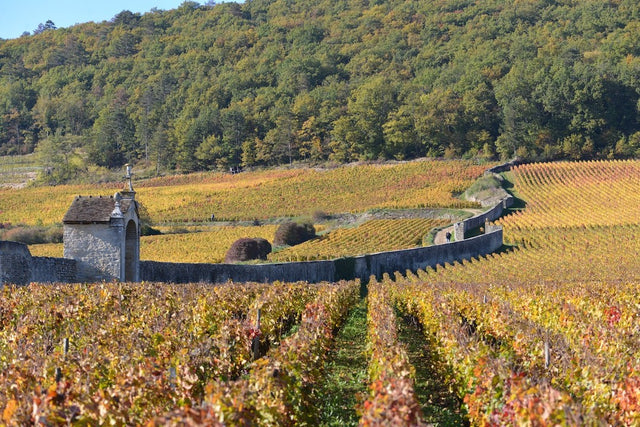 Clos Saint-Jacques Dinner Deposit - November 12