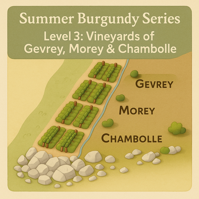 Summer Burgundy Series - Class 6 - Vineyards of Gevrey, Morey & Chambolle - August 4