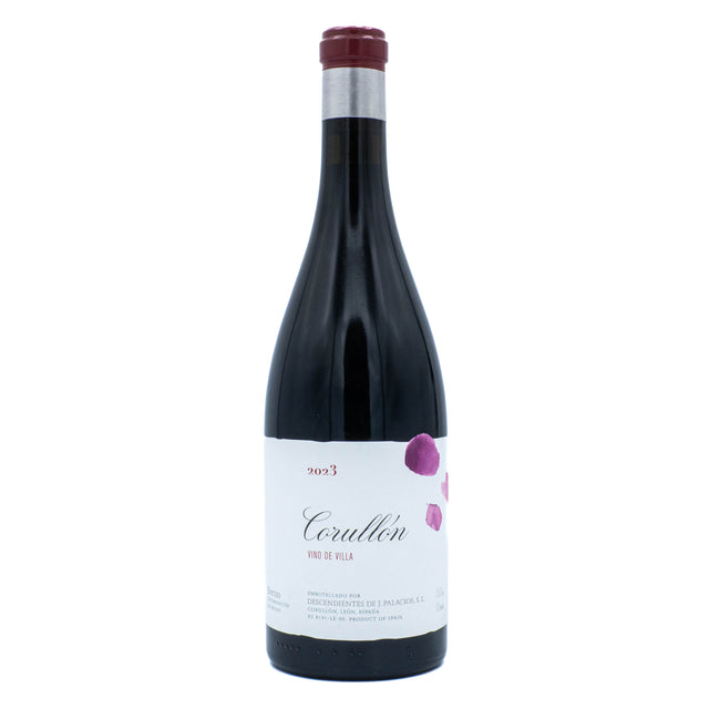 Descendientes de José Palacios Bierzo Villa de Corullon 2023