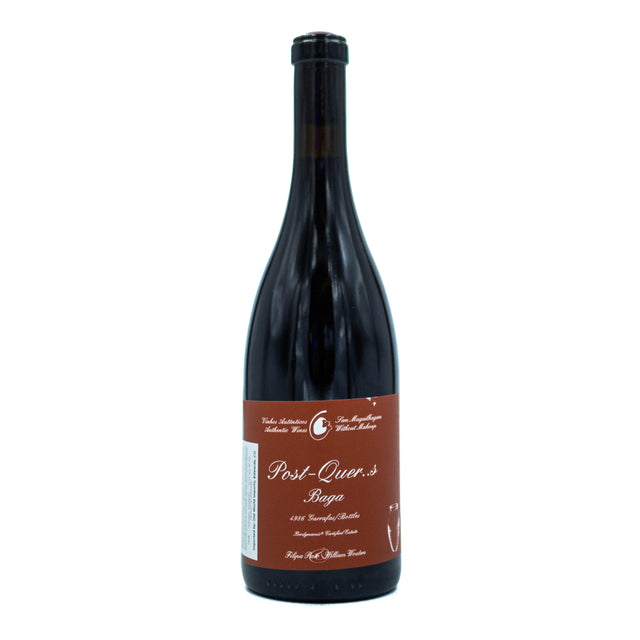Filipa Pato "Post Quercus" Amphorae Baga 2023