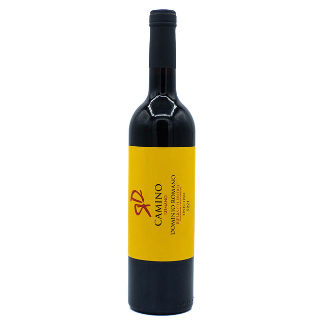 Dominio Romano Ribera del Duero Camino Romano 2021