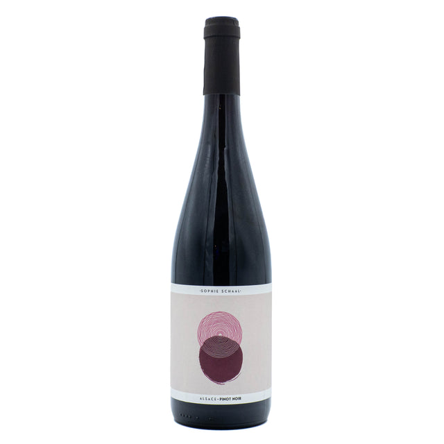 Sophie Schaal Pinot Noir 2024