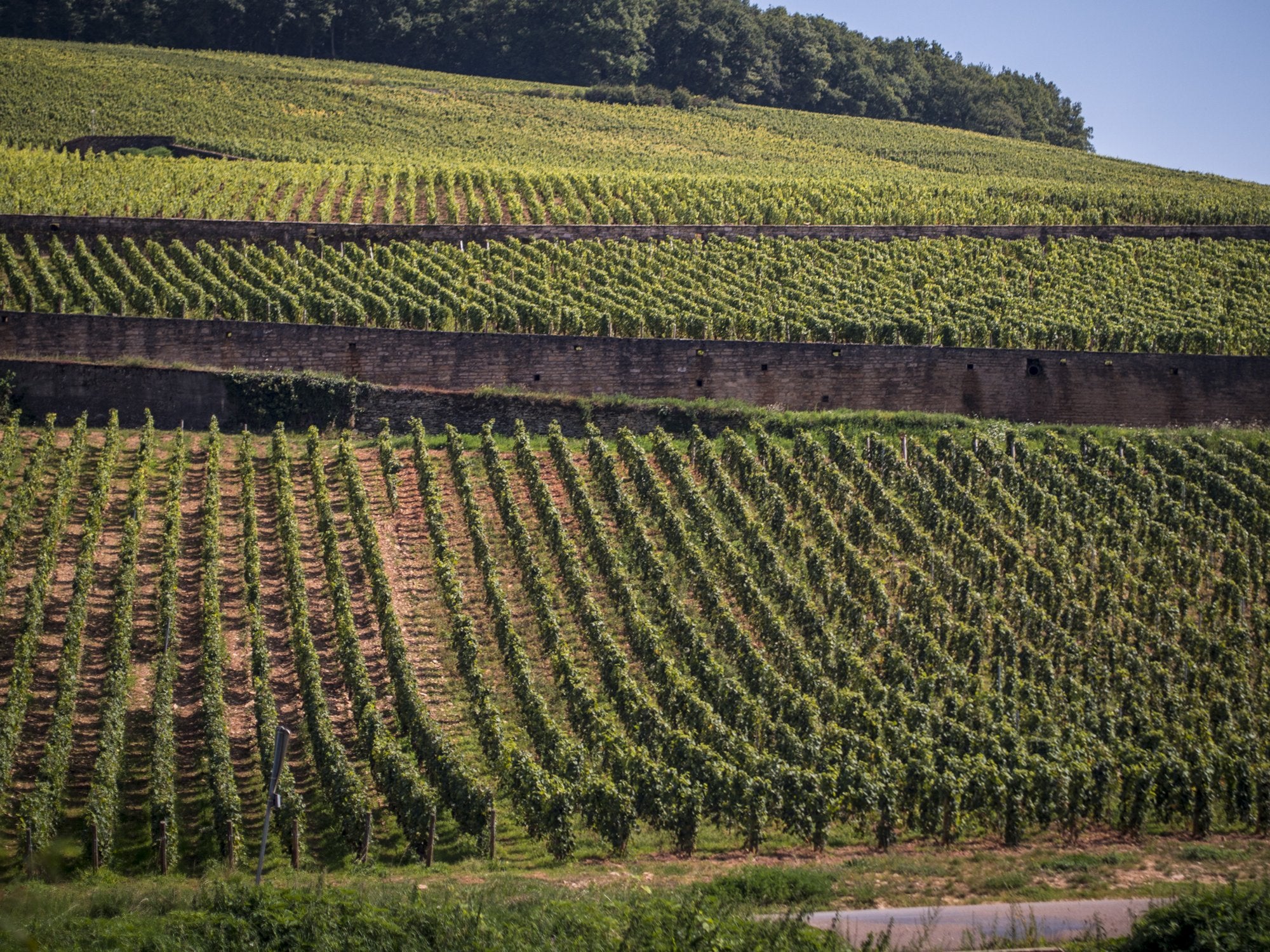 Domaine Henri Gouges Nuits-Saint-Georges 1er Cru La Perriere Blanc