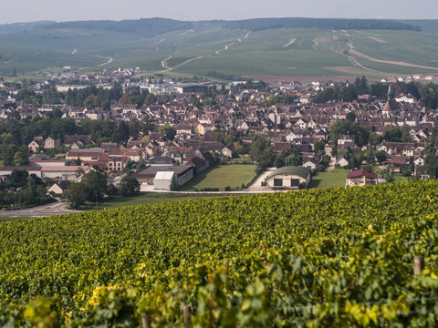 Burgundy - Chablis
